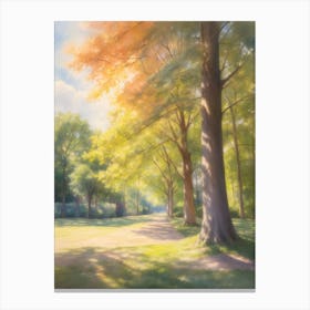 Summer Sunshine And Shade Of Trees Canvas Print