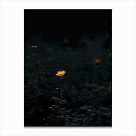 Yellow Flower In The Dark 4 Canvas Print