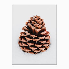 Snowy Pine Cone Canvas Print