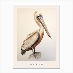 Vintage Bird Drawing Brown Pelican 2 Poster Canvas Print