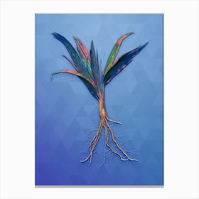 Vintage Date Palm Tree Botanical Art on Blue Perennial n.1236 Canvas Print