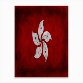 Hong Kong Flag Texture Canvas Print