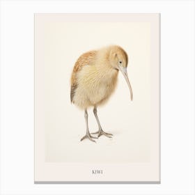Vintage Bird Drawing Kiwi Poster Canvas Print