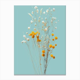 Dry Flowers Canvas Print