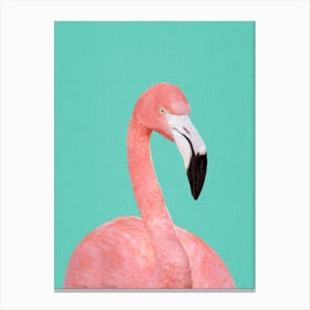 Flamingo In Blue Canvas Print