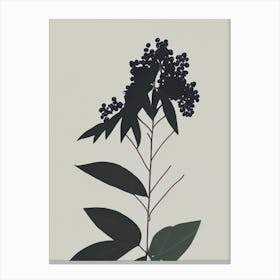 Elderberry Herb Simplicity 2 Canvas Print