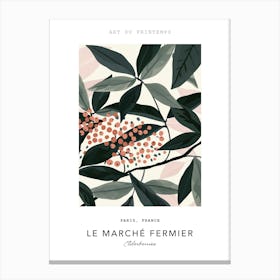 Elderberries Le Marche Fermier Poster 4 Canvas Print