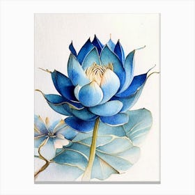 Blue Lotus Watercolour Ink Pencil 2 Canvas Print