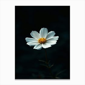 White Flower 15 Canvas Print