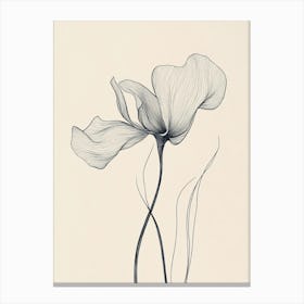 Poppies 106 Canvas Print