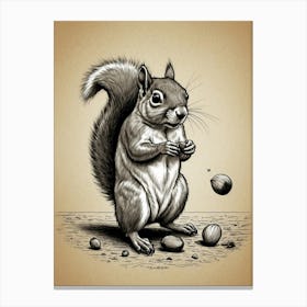 Squirrel With Nuts Canvas Print Canvas Print