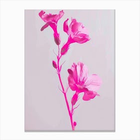 Hot Pink Snapdragon 2 Canvas Print