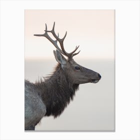 Minimalist Elk Profile Canvas Print