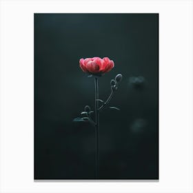 Single Pink Flower 10 Canvas Print