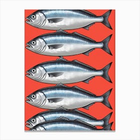 Sardines 11 Canvas Print