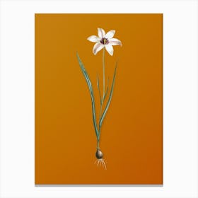 Vintage Lady Tulip Botanical on Sunset Orange n.0525 Canvas Print
