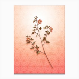 Cape African Queen Vintage Botanical in Peach Fuzz Asanoha Star Pattern n.0151 Canvas Print