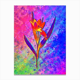 Tulipa Oculus Colis Botanical in Acid Neon Pink Green and Blue Canvas Print