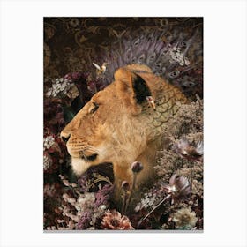 Lioness with Flowers Canvas Print