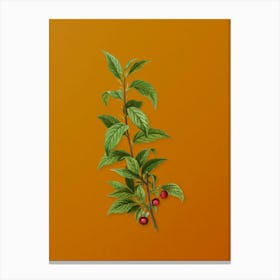 Vintage Cherry Botanical on Sunset Orange n.0076 Canvas Print
