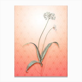 Spring Garlic Vintage Botanical in Peach Fuzz Asanoha Star Pattern n.0327 Canvas Print