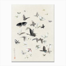 Butterflies And Moths, Katsushika Hokusai Canvas Print