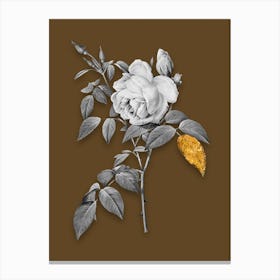 Vintage Fragrant Rosebush Black and White Gold Leaf Floral Art on Coffee Brown n.0701 Canvas Print