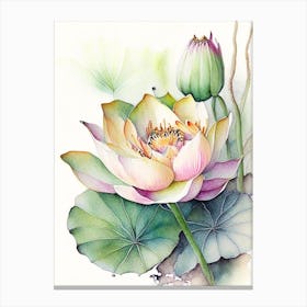 Lotus Flower In Garden Watercolour Ink Pencil 1 Canvas Print
