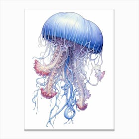 Portuguese Man Of War Jellyfish 1 Canvas Print