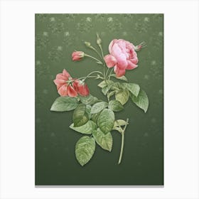 Vintage Pink Boursault Rose Botanical on Lunar Green Pattern n.1651 Canvas Print