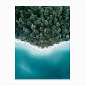 Calm Lake And Forest From Above Canvas Print