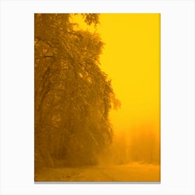 Yellow Road and Tree In Winter Canvas Print