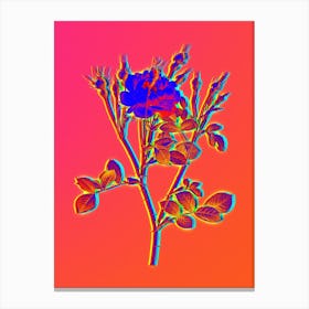 Neon Anemone Flowered Sweetbriar Rose Botanical in Hot Pink and Electric Blue n.0505 Canvas Print