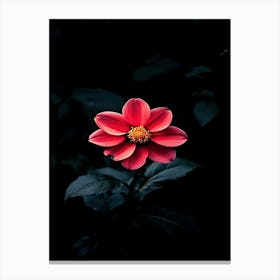 Dark Flower 8 Canvas Print