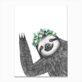 Sloth With Eucalyptus Canvas Print