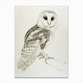 Spectacled Owl Drawing 1 Canvas Print