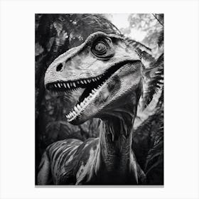 Black And White Photograph Of A Velociraptor Canvas Print