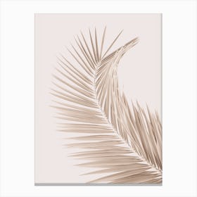 Neutral Palm Canvas Print