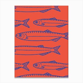 Sardines Sea Food Canvas Print