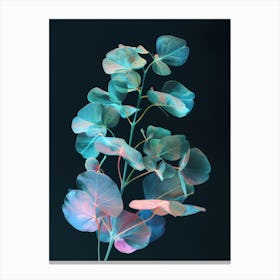 Eucalyptus 11 Canvas Print