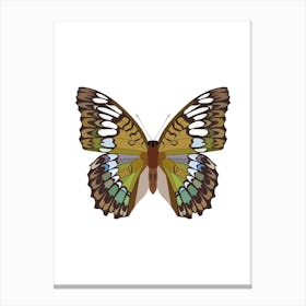 Riodinidae Butterfly Canvas Print
