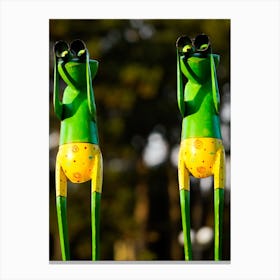 Two Frogs Canvas Print