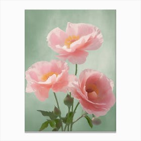 Pink Roses Flowers Acrylic Painting In Pastel Colours 12 Canvas Print