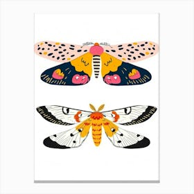Colourful Insect Illustration Moth 1 Canvas Print