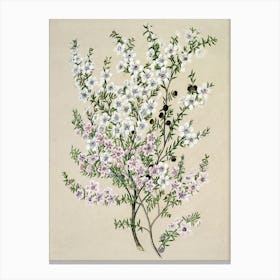 Lilacs 6 Toile