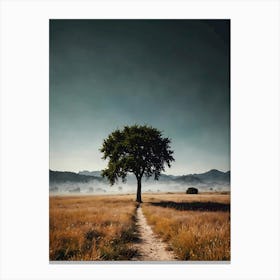 Lone Tree 31 Canvas Print