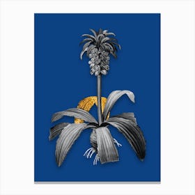 Vintage Eucomis Regia Black and White Gold Leaf Floral Art on Midnight Blue n.1098 Canvas Print