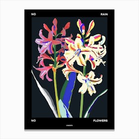 No Rain No Flowers Poster Hyacinth 1 Canvas Print