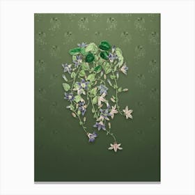 Vintage Harebell Of St. Angelo Botanical on Lunar Green Pattern n.0817 Canvas Print