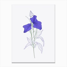 Canterbury Bell Floral Minimal Line Drawing 4 Flower Canvas Print